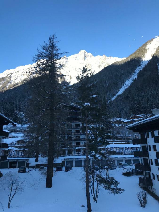 Brevent - Meleze Apartment Chamonix Exterior photo